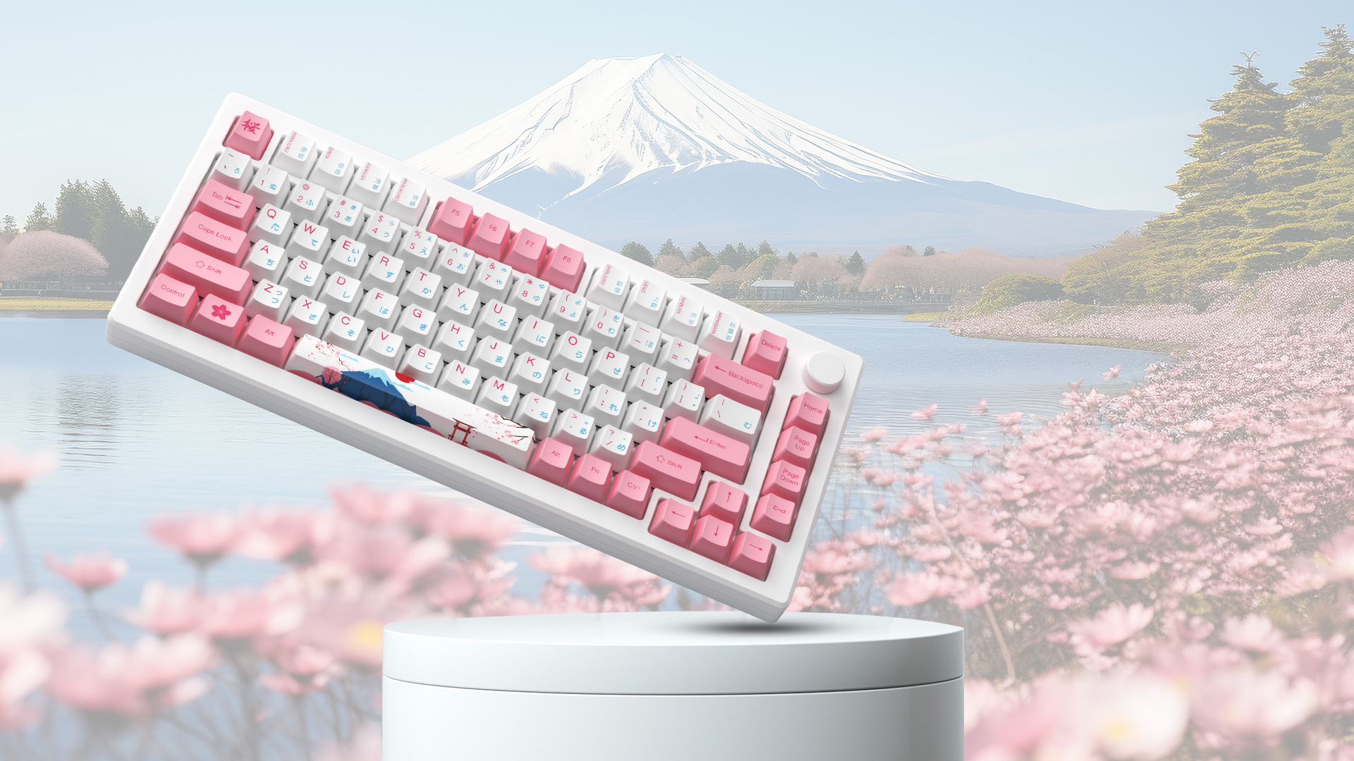 Hình ảnh sản phẩm: AKKO MOD007B-HE PC Tokyo Sakura Pink